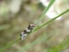 31050 – Photo : Arnaud Jean-Pierre – France (11)