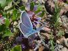 31223 – Photo : jeromebubu – France (13)