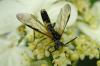 31432 – Photo : Cecile Bassaglia – France (75)
