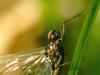 31261 – Photo : Denys Liger – France (27)