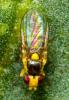 310351 – Photo : André Burgers – Espagne
