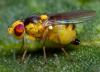 310352 – Photo : André Burgers – Espagne