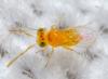 310349 – Photo : André Burgers – Espagne