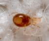 310398 – Photo : André Burgers – Espagne