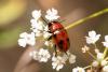 310454 – Photo : Pierre Duhem – France (73)