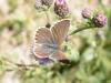 310694 – Photo : Philippe Fourtier – France (38)