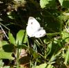 310112 – Photo : Philippe Fourtier – France (77)