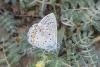 310457 – Photo : Michel Mathieu – France (34)
