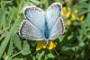 310820 – Photo : Bernard Saquet – France (34)