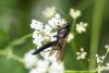 311885 – Photo : Pierre Duhem – France (16)
