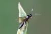 311100 – Photo : Pierre Duhem – France (73)