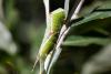 311183 – Photo : Pierre Duhem – France (73)