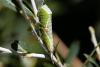 311187 – Photo : Pierre Duhem – France (73)