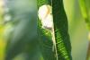 311335 – Photo : Pierre Duhem – France (73)