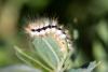 311385 – Photo : Pierre Duhem – France (73)