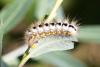311384 – Photo : Pierre Duhem – France (73)