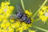 311591 – Photo : Pierre Duhem – France (95)