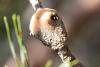 311736 – Photo : Pierre Duhem – France (07)