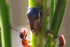 311784 – Photo : Pierre Duhem – France (07)
