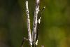 311816 – Photo : Pierre Duhem – France (07)