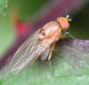 311443 – Photo : Jean-Michel GAREL – France (89)