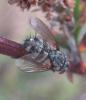 311464 – Photo : Axel Dehalleux – France (93)