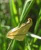 311858 – Photo : Axel Dehalleux – France (94)