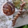 311083 – Photo : Cédric Mondy – France (94)