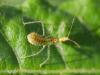 311348 – Photo : BourrinOman – France (83)