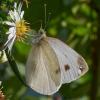 311750 – Photo : Cédric Mondy – France (94)