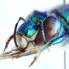 311305 – Photo : Nicolas Baudet – Guyane française