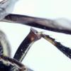 311581 – Photo : Nicolas Baudet – Panama