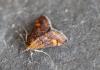 311847 – Photo : Jc.grandmaire – France (83)