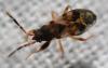 311566 – Photo : Christian Berquer – France (50)