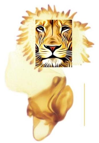 Indéterminé