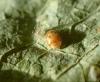 312375 – Photo : Maria Justamond – Royaume-Uni