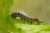 312468 – Photo : Pierre Duhem – France (75)