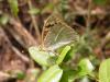 312210 – Photo : Philippe Fourtier – France (06)