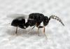 312291 – Photo : André Burgers – Espagne