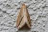 312293 – Photo : Jean-Claude Lablanquie – France (63)