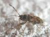 312694 – Photo : Axel Dehalleux – France (93)