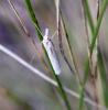 312410 – Photo : Philippe Fourtier – France (06)