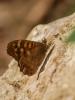312693 – Photo : BourrinOman – France (83)