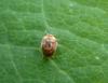 312371 – Photo : Maria Justamond – Royaume-Uni