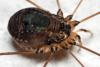 313838 – Photo : André Burgers – Espagne