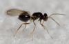 313795 – Photo : André Burgers – Espagne