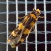 313284 – Photo : Cédric Mondy – France (94)