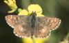 314859 – Photo : éric Pensa – France (13)