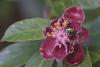 314897 – Photo : D. Martinez – Philippines