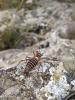 314833 – Photo : Maxime – France (04)